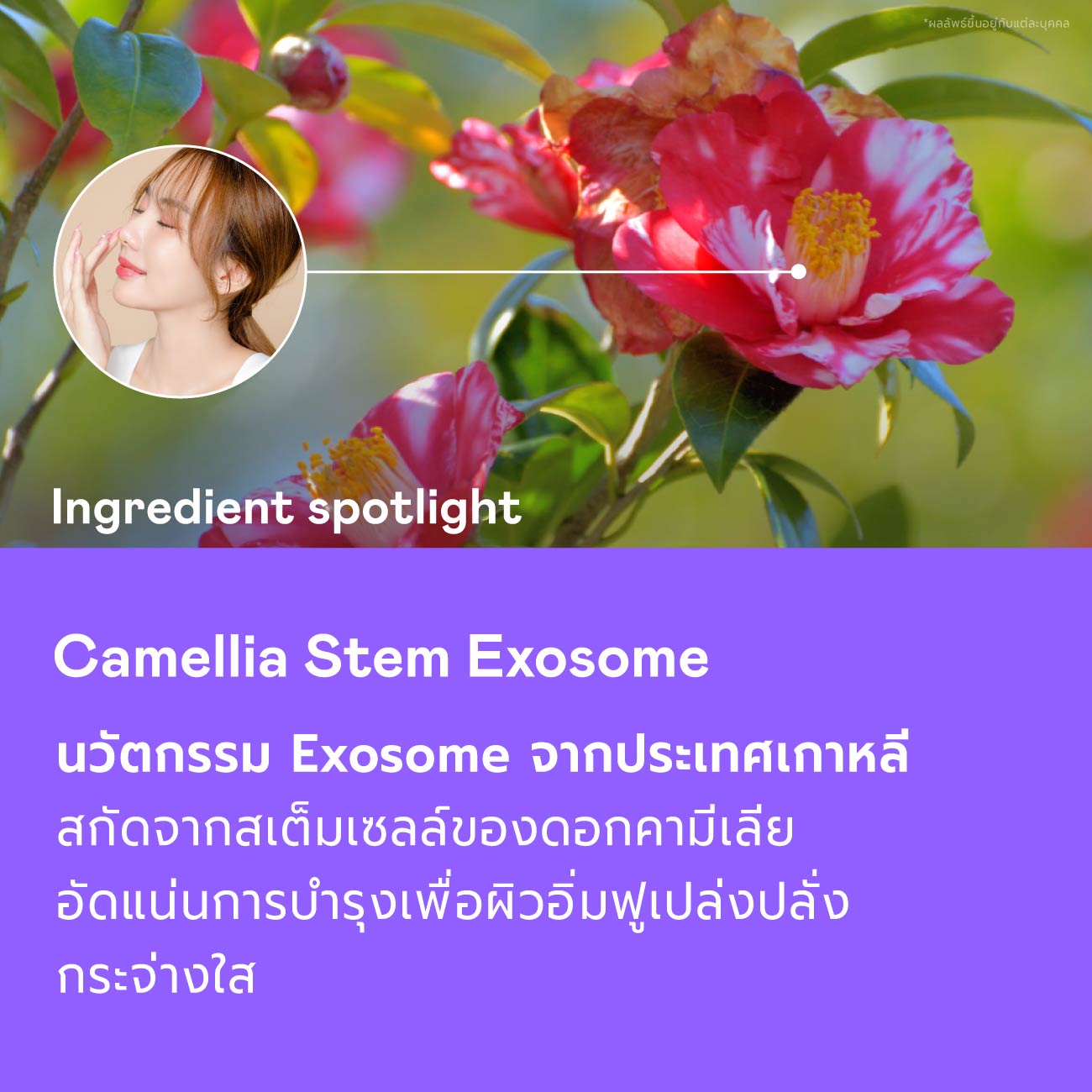 Serum Trio Promo Set