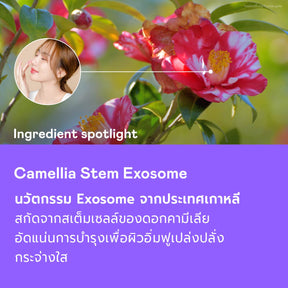 Serum Trio Promo Set