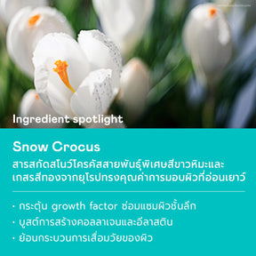 Repair & Restore Duo Mask Set