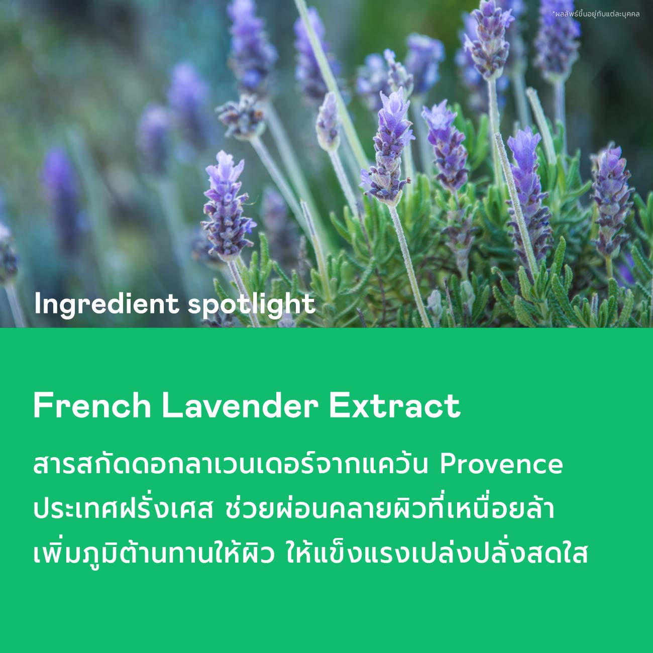 Aroma Calming Cream
